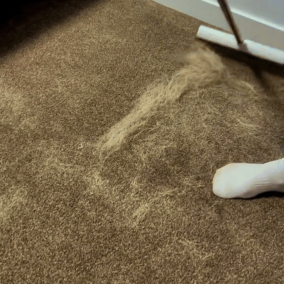 HairLift Pet Broom